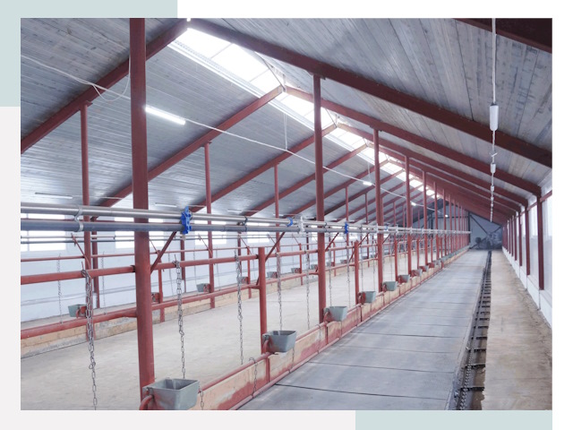 Строительство коровников в Барнауле от 607 руб.