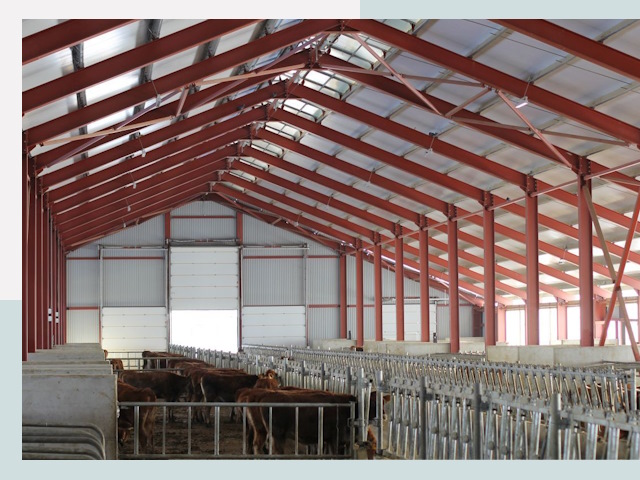 Строительство коровников в Барнауле