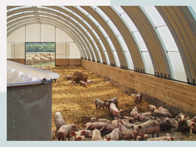 Строительство свинарников в Барнауле