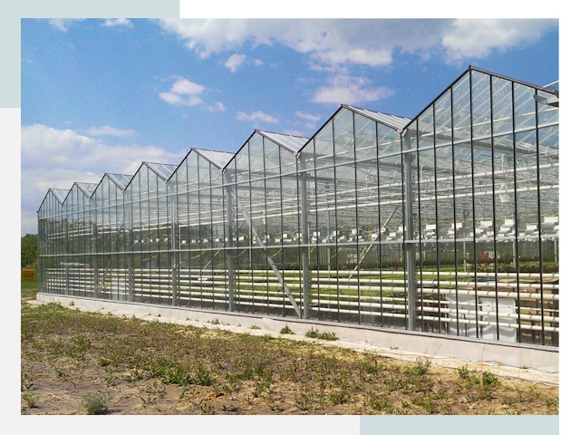 Строительство теплиц в Барнаул от 607 руб. за м²