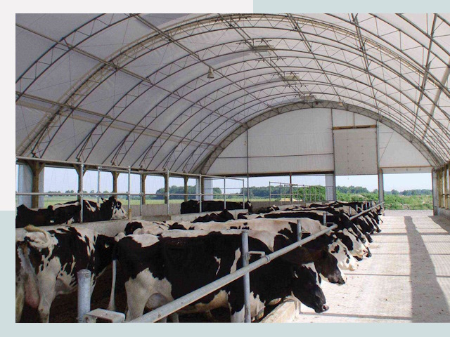 Тентовые коровники в Барнауле